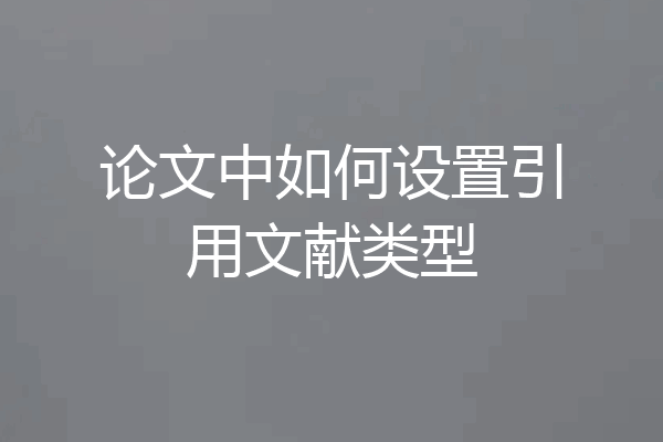 论文中如何设置引用文献类型