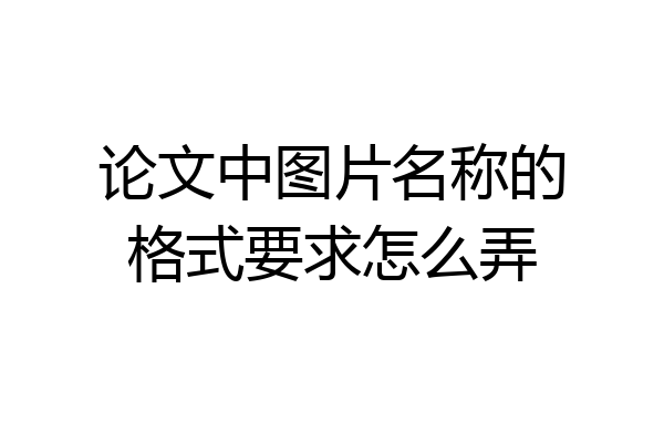 论文中图片名称的格式要求怎么弄