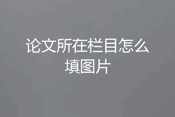 论文所在栏目怎么填图片