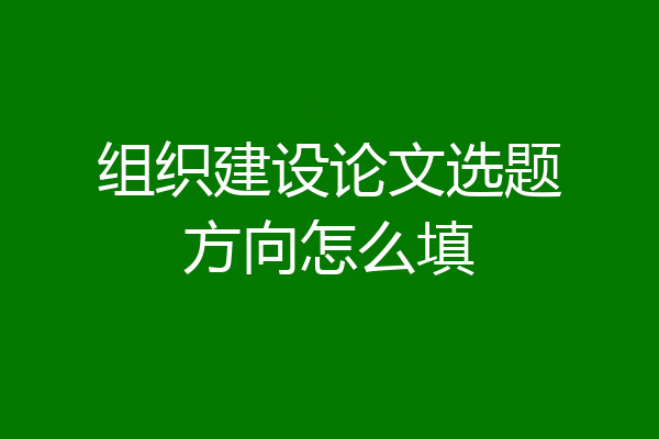 组织建设论文选题方向怎么填