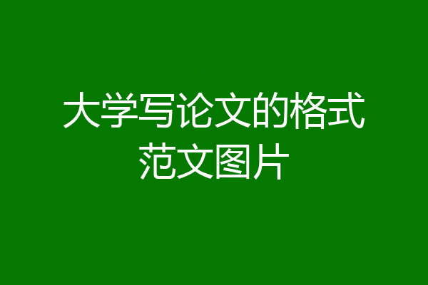 大学写论文的格式范文图片