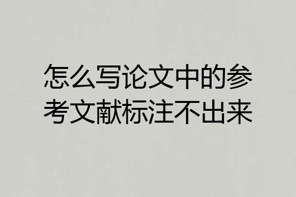 怎么写论文中的参考文献标注不出来