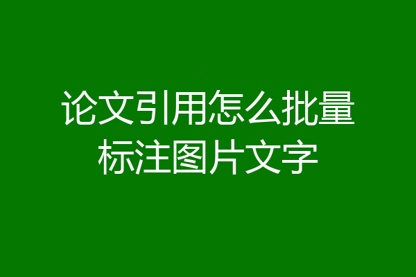 论文引用怎么批量标注图片文字