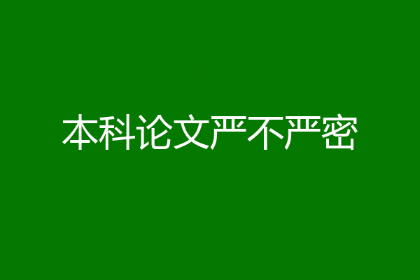 本科论文严不严密