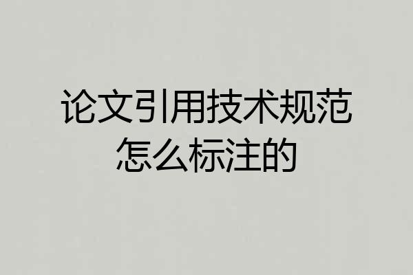 论文引用技术规范怎么标注的
