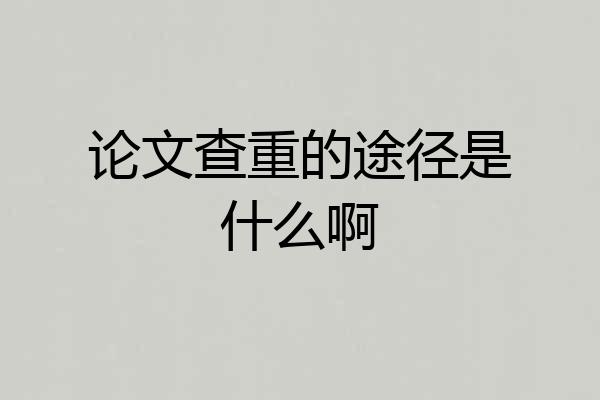 论文查重的途径是什么啊