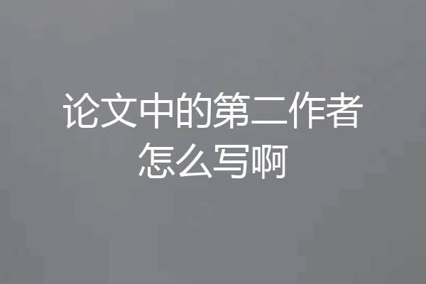 论文中的第二作者怎么写啊
