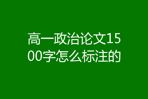 高一政治论文1500字怎么标注的