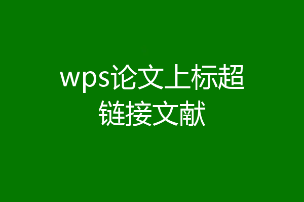 wps论文上标超链接文献