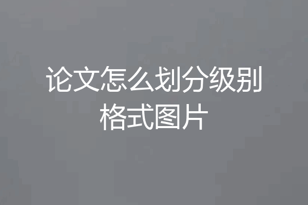 论文怎么划分级别格式图片