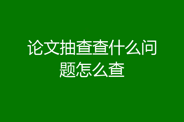 论文抽查查什么问题怎么查