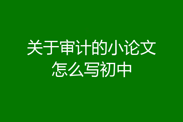 关于审计的小论文怎么写初中