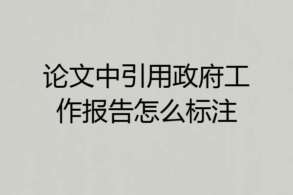 论文中引用政府工作报告怎么标注