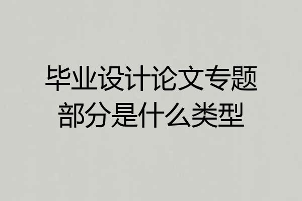 毕业设计论文专题部分是什么类型