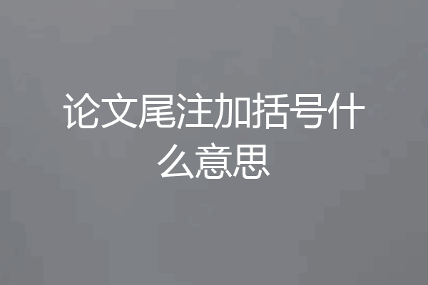 论文尾注加括号什么意思