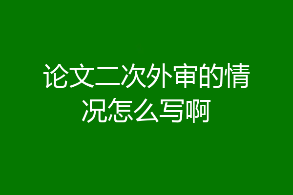 论文二次外审的情况怎么写啊