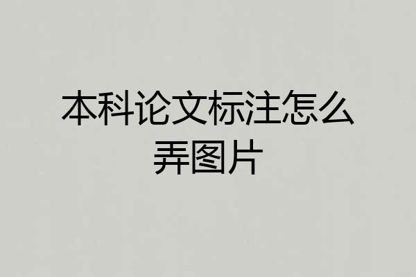 本科论文标注怎么弄图片