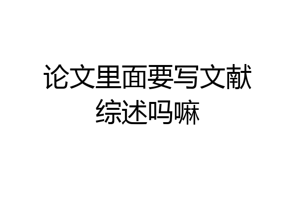 论文里面要写文献综述吗嘛