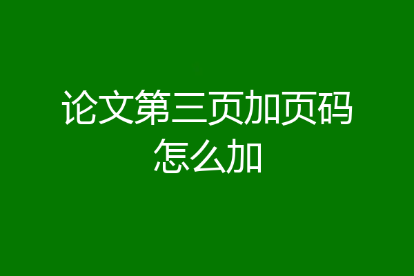 论文第三页加页码怎么加