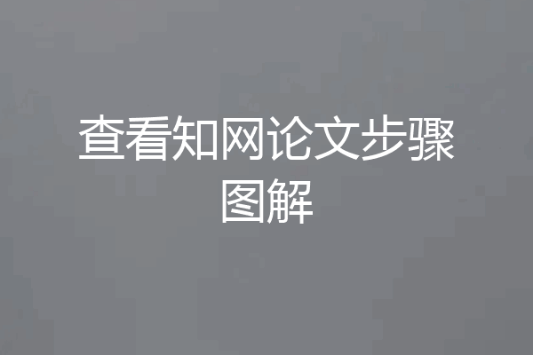 查看知网论文步骤图解