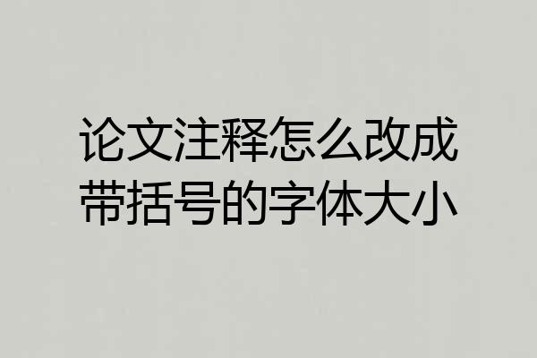 论文注释怎么改成带括号的字体大小