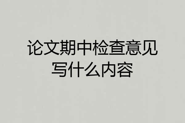 论文期中检查意见写什么内容