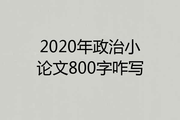 2020年政治小论文800字咋写