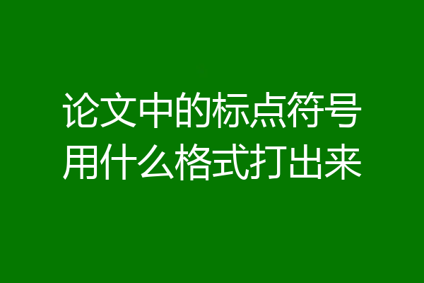 论文中的标点符号用什么格式打出来