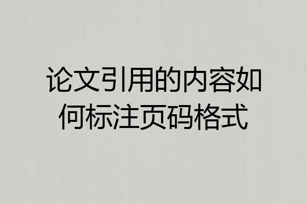 论文引用的内容如何标注页码格式