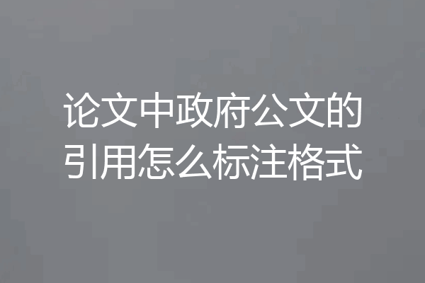 论文中政府公文的引用怎么标注格式