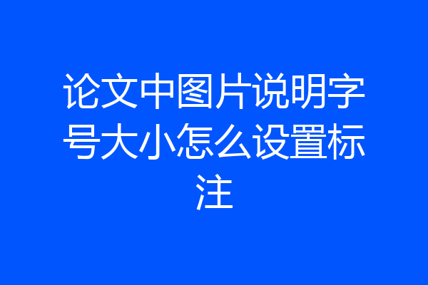 论文中图片说明字号大小怎么设置标注