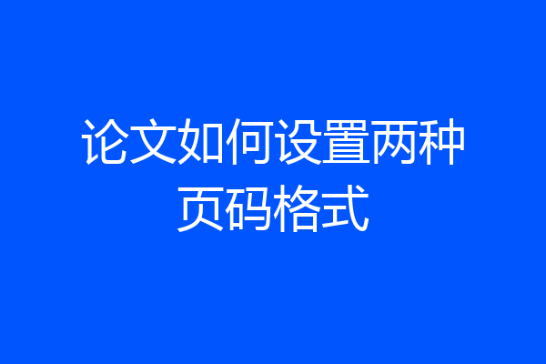 论文如何设置两种页码格式