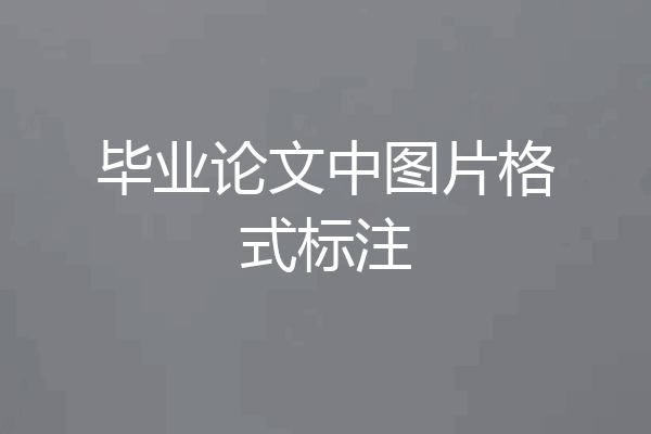 毕业论文中图片格式标注