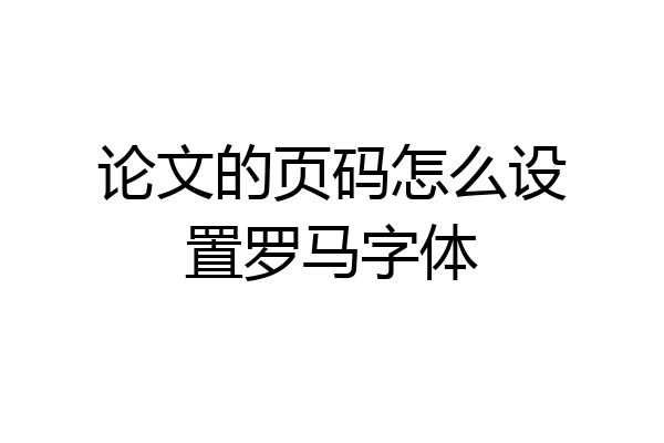 论文的页码怎么设置罗马字体