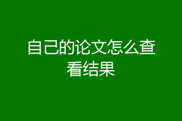 自己的论文怎么查看结果