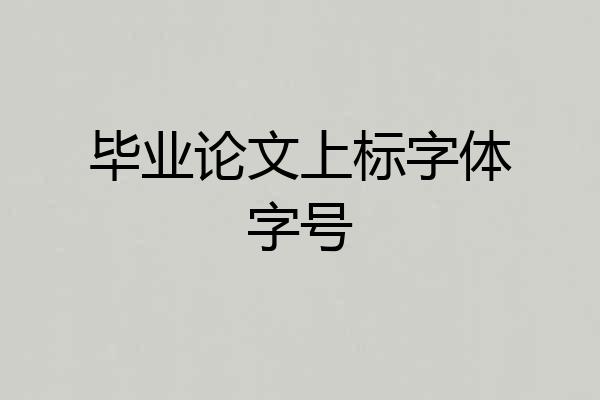 毕业论文上标字体字号
