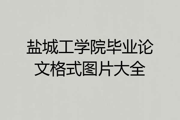 盐城工学院毕业论文格式图片大全