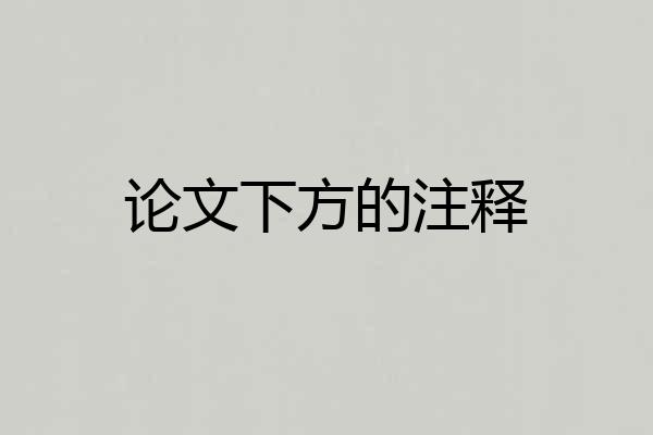 论文下方的注释