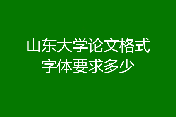 山东大学论文格式字体要求多少