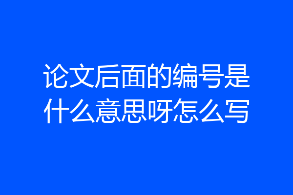 论文后面的编号是什么意思呀怎么写