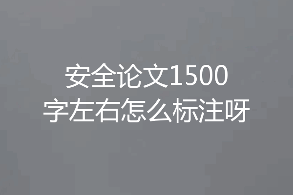 安全论文1500字左右怎么标注呀