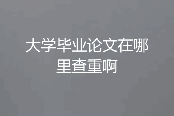 大学毕业论文在哪里查重啊