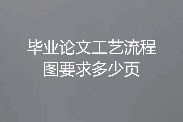 毕业论文工艺流程图要求多少页