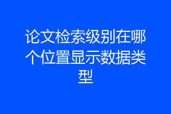 论文检索级别在哪个位置显示数据类型