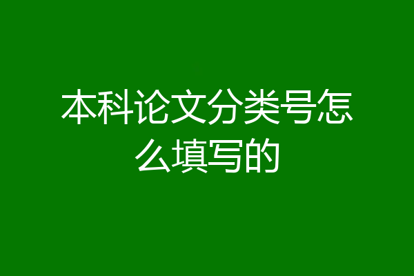 本科论文分类号怎么填写的