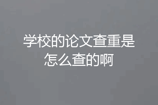 学校的论文查重是怎么查的啊