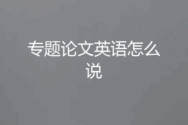 专题论文英语怎么说