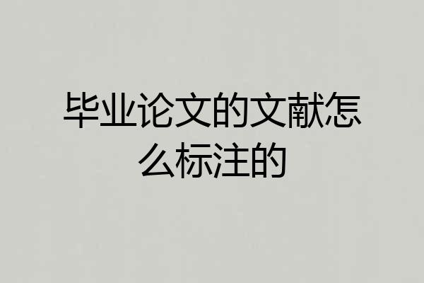 毕业论文的文献怎么标注的