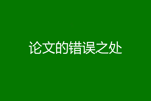 论文的错误之处