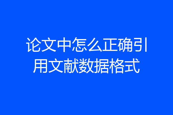 论文中怎么正确引用文献数据格式